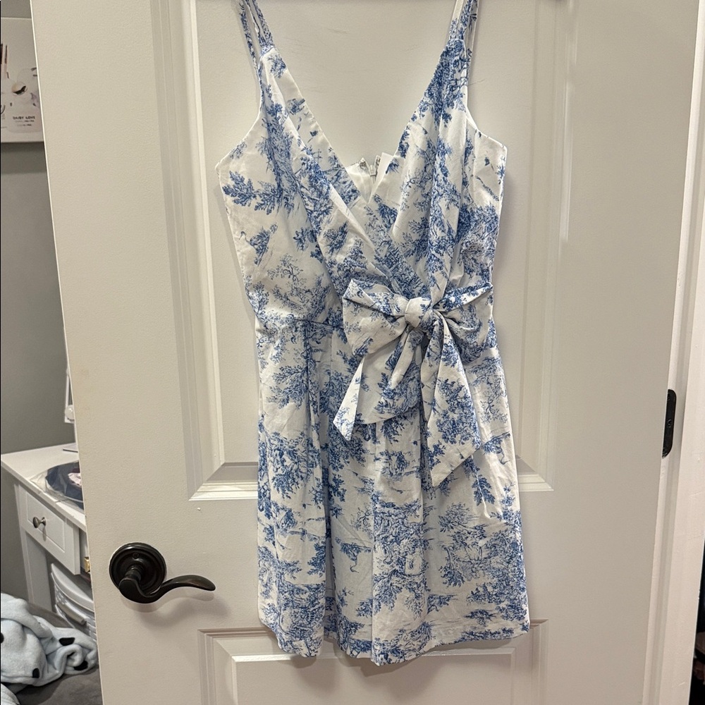 Aakaa Blue and White Toile Dress